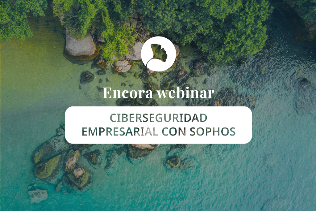 kowakia-webinars-ciberseguridad
